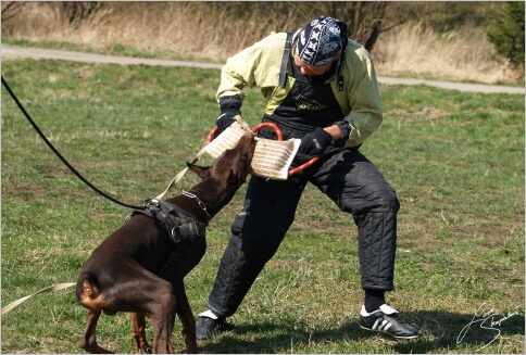 Training in Prague - 2. 4. 2008